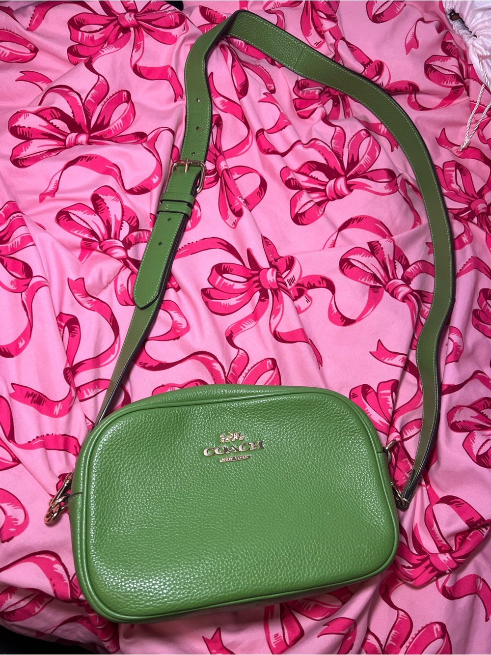 Coach Green Pebbled Leather Crossbody with Gold Hardware